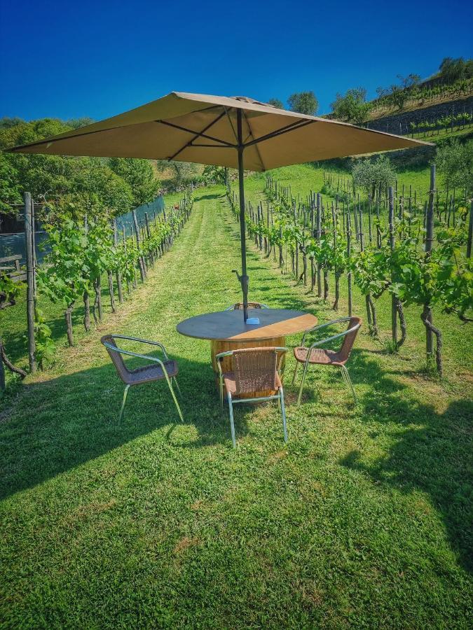 L'Oasi Di Cice Villa Rufina Eksteriør bilde